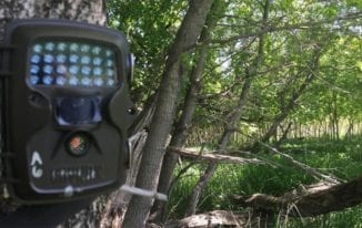 How To Choose The Best Game Camera