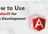 How to use AngularJS for Web Development