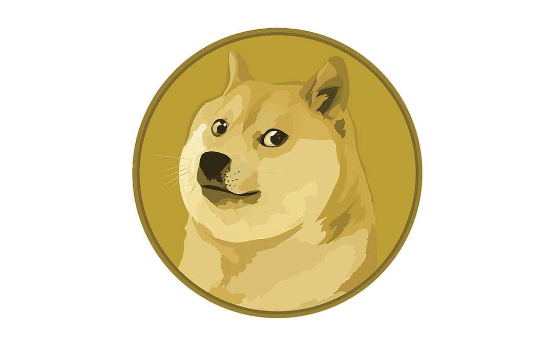 The Use Cases of Dogecoin in Real Life - NaijaTechGuide