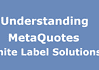 Understanding MetaQuotes White Label Solution