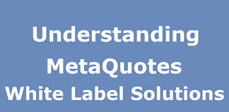 Understanding MetaQuotes White Label Solution